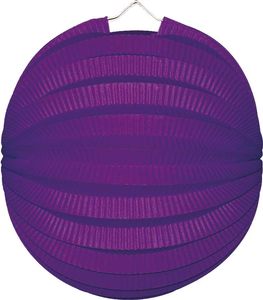 Bollampion Paars 23 cm