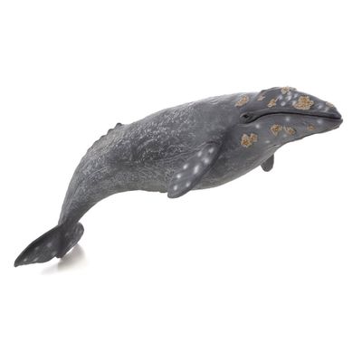 Mojo sealife grijze walvis 387280