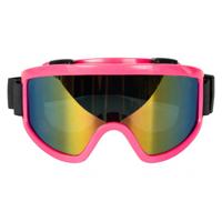 Carnaval/verkleed Apres Ski bril - roze - volwassenen - kunststof - party brillen Carnaval/verkleed Apres Ski bril - roze - volwassenen - kunststof - party brillen