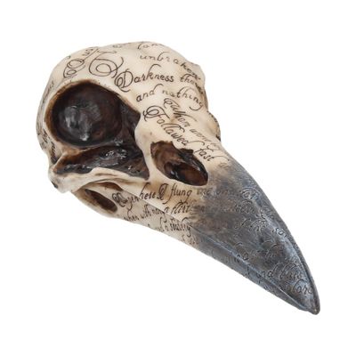 Nemesis Now Edgar&apos;s Raven Skull 21cm