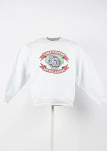 Fruit of the Loom Hoodie in Grey size L