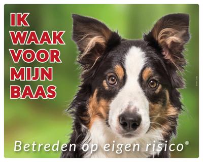 Border Collie Waakbord