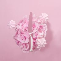 KIDDIKUTTER kindermes rozen