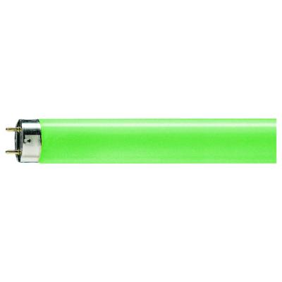 Signify Fluorescentielamp G13 18 W Staaf 1 stuk(s)