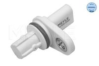 Nokkenassensor 6148000020