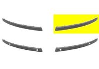 BUMPERLIJST LINKS BUMPER ZWART zonder PDC-GATEN 0628581