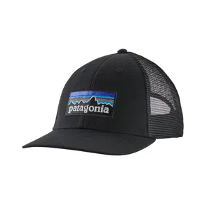 Patagonia P-6 Logo LoPro skate cap