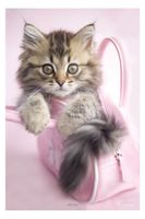 Kat Minnie Poster 61x91.5cm - thumbnail