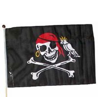 Kids At Work piratenvlag inclusief veilige mast lengte 60 cm - thumbnail