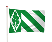 Vlag Vriezeveen
