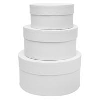 Colorations - papier-mache dozen rond, 3st.