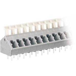 WAGO 256-403 Veerkrachtklemblok 2.50 mm² Aantal polen 3 Grijs 1 stuk(s)