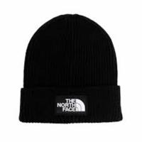 Hoed The North Face Tnf Logo Box Cuffed Beanie NF0A3FJXJK31 Zwart