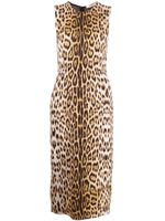 Roberto Cavalli robe mi-longue à imprimé léopard - Tons neutres
