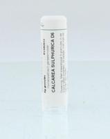 Homeoden Heel Calcarea sulphurica D6 6 Gram
