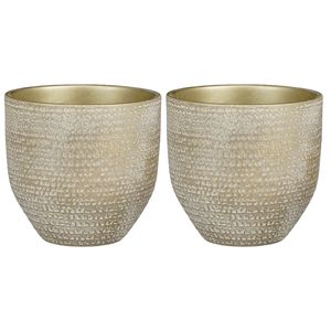 2x stuks plantenpot/bloempot Carrie terracotta champagne met flakes patroon - D24/H22 cm