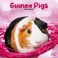 Cavia Kalender 2026