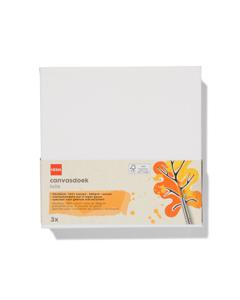 HEMA Canvasdoeken 280gsm 20x20 - 3 Stuks