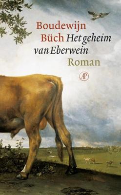 Het geheim van Eberwein - Boudewijn Büch - ebook