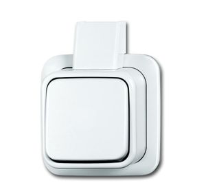 Kruisschakelaar opbouw wit 2601 7 APJW BJ