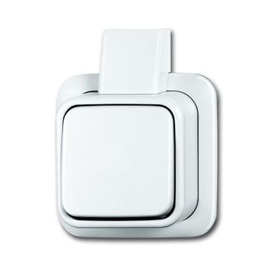 Kruisschakelaar opbouw wit 2601 7 APJW BJ