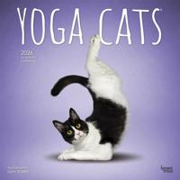Yoga Cats Kalender 2026