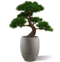 Pinus Bonsai x5 deluxe kunstplant op voet 80cm - UV bestendig - thumbnail