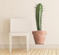 Muursticker woonkamer cactus in pot - thumbnail