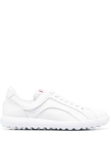 Camper baskets Pelotas XLFR - Blanc