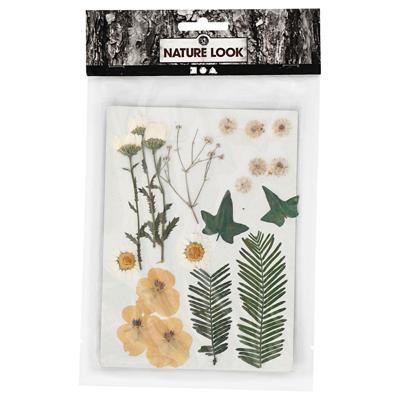 Creativ Company Gedroogde bloemen en bladeren off-white, 19dlg.