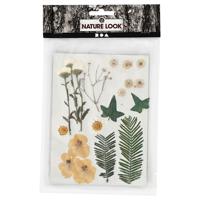 Creativ Company Gedroogde bloemen en bladeren off-white, 19dlg.