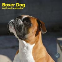 Boxer Kalender 2026