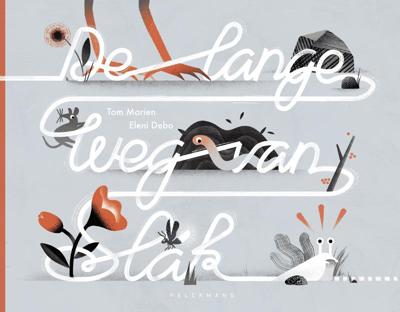 De lange weg van Slak (Hardback)
