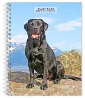 Labrador Retriever Zwart Agenda 2026