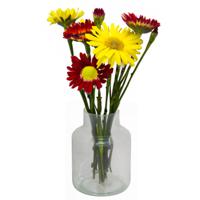 Glazen melkbus bloemen vaas/vazen smalle hals 15 x 20 cm - Vazen