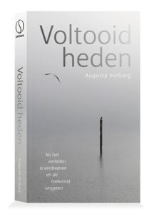 Voltooidheden (Paperback)