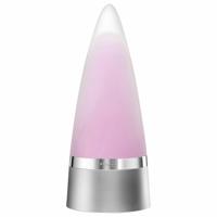 Herenparfum Rochas EDP 100 ml Rochas Intense