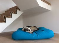 Dog's Companion® Hondenbed aqua blauw extra small