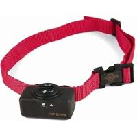 Pbc19-10765 Petsafe standaard blafbanden