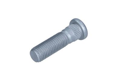 Wielbout 495091