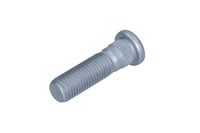 Wielbout 495091