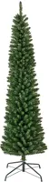 Everlands Pencil pine kunstkerstboom groen 210cm