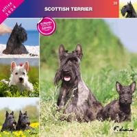 Schotse Terrier Kalender 2024 Schotse Terrier Kalender 2024