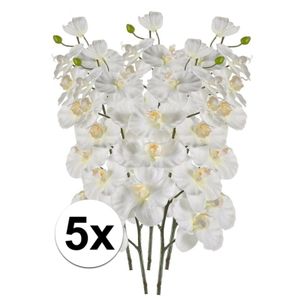 5x Witte Orchidee kunstbloemen tak 100 cm