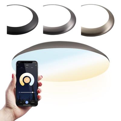 Smart plafondlamp - bulkhead - 18W 1800lm - Ø30cm - IP65 waterdicht - White ambience - Wifi + Bluetooth - Google Home, Amazon Alexa en Siri - RVS - Badkamerlamp