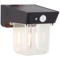 Brilliant Zwarte wandlampParson transparant glas - G40435/06
