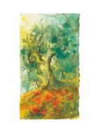 Kunstdruk Ulrich Hartig - Oliven und Mohn 50x70cm