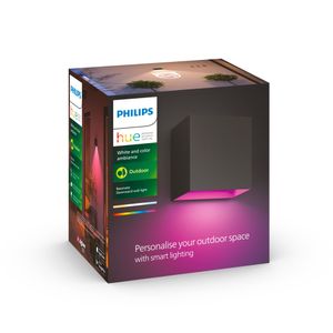 Philips Hue White and Color ambiance Resonate Downward Hue WACA