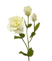 Lisianthus kunst steelbloem 80 creme