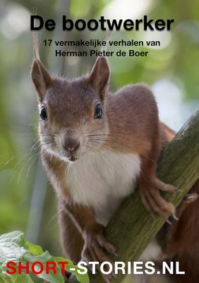 De bootwerker - Herman Pieter de Boer - ebook